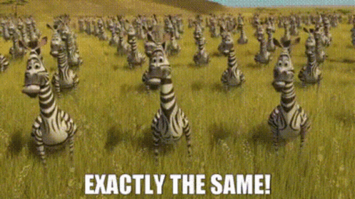 Madagascar Zebras GIF. This 498 x 280 animated GIF is part of our same same but different collection. Created by masoncarr2244. View the original animation…