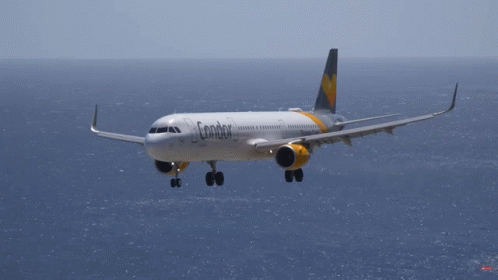 Madeira Airport A320 GIF