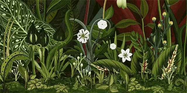 Magic Bloom GIF