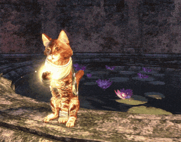 Magic Cat Eso GIF