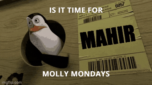 Mahir Molly GIF