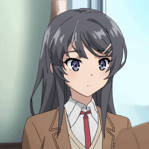Mai Sakurajima Rascal Does Not Dream Of Bunny Girl Senpai GIF