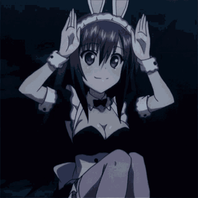 Maid Bunny GIF