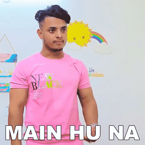 Main Hu Na Prince Pathania GIF