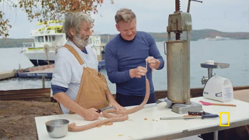 Making Fish Sausages Gordon Ramsay GIF. This 498 x 280 animated GIF is part of our ramsay sausage collection. Related themes include gordon ramsay. Created…