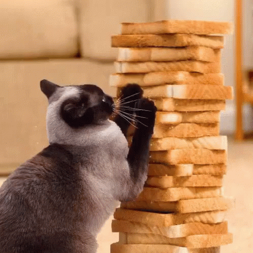 Making That Bread GIF. This 498 x 498 animated GIF is part of our lady and the tramp siamese cats collection. View the original animation, share it, or…
