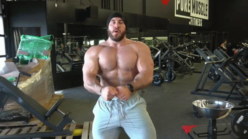 Male Bodybuilder Male Muscle GIF