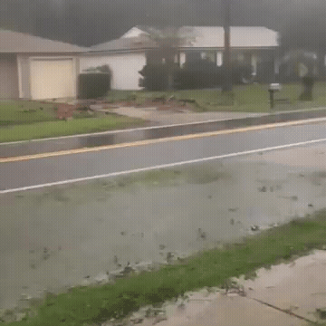 Man In Storm Flag In Storm GIF