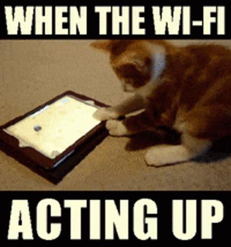 Man One Of My Fav Memes GIF. This 465 x 498 animated GIF is part of our lustige freitags bilder collection. Created by King_George. View the original…