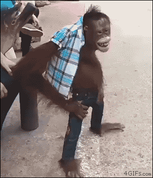 Man What GIF. This 311 x 362 animated GIF is part of our tight pants collection. Created by User1111k. View the original animation, share it, or browse…