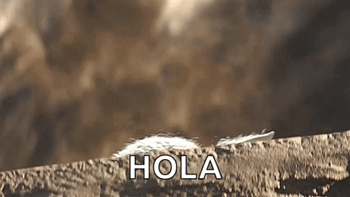 Mandalorian Baby Yoda GIF