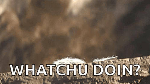 Mandalorian Baby Yoda GIF. This 498 x 281 animated GIF is part of our hello is there anybody out there collection. Related themes include hello. Created by…