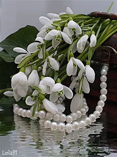 March Flowers GIF. This 240 x 320 animated GIF is part of our martisor collection. Related themes include nature, spring. Created by okamitsumi13. View the…