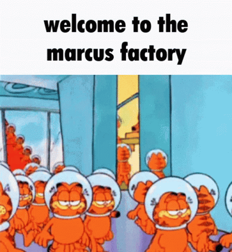 Marcus Garfield GIF