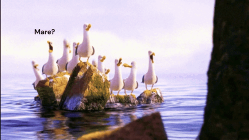 Mare Seagull GIF. This 498 x 281 animated GIF is part of our mine mine mine collection. Created by ConejitaConejita. View the original animation, share it…