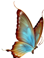Mariposa Sticker