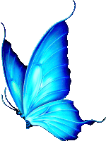 Mariposa Sticker