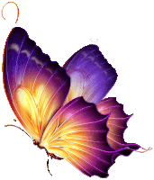 Mariposa Sticker
