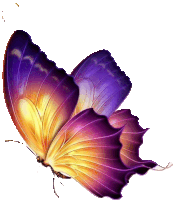 Mariposa Sticker