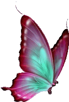 Mariposa Sticker