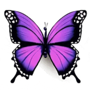 Mariposa Voleta GIF