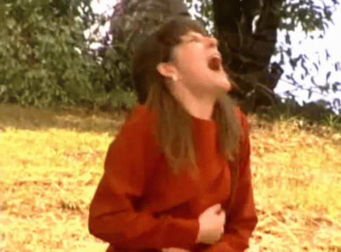 Marisol Telenovela GIF