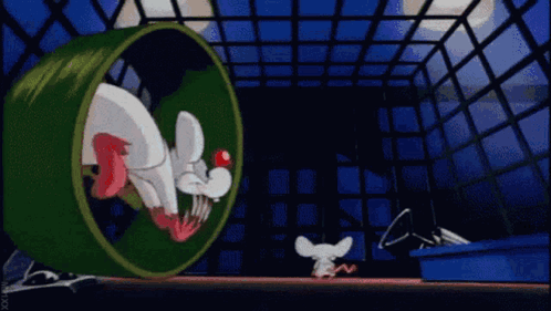 Marko21xx GIF