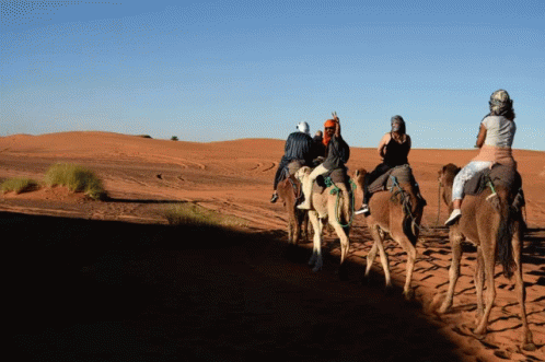 Marocco Saydy Rafael Journey GIF