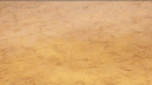 Marowak Alolan Form GIF