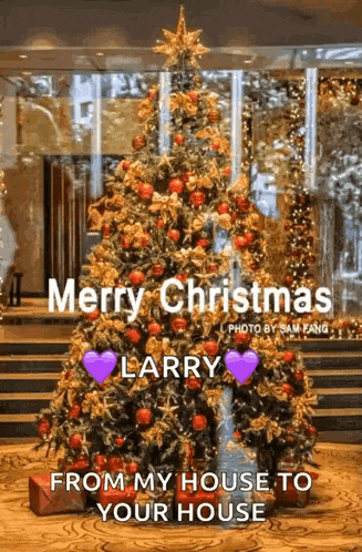 Marrychristmas Xmas GIF