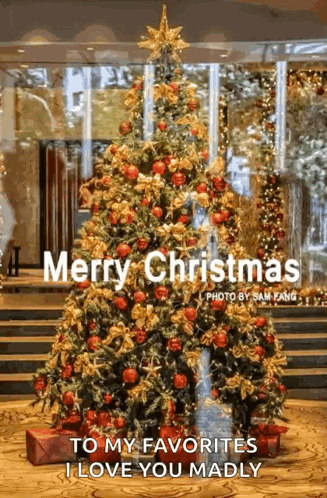 Marrychristmas Xmas GIF. This 327 x 498 animated GIF is part of our frohe weihnachten und ein gutes neues jahr collection. Related themes include christmas…