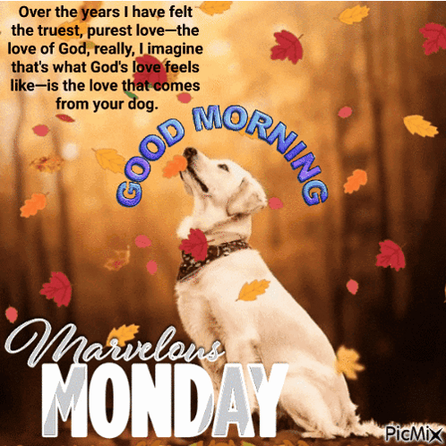 Marvelous Monday GIF. This 498 x 498 animated GIF is part of our montag morgen collection. Created by sobronxjourno. View the original animation, share it…