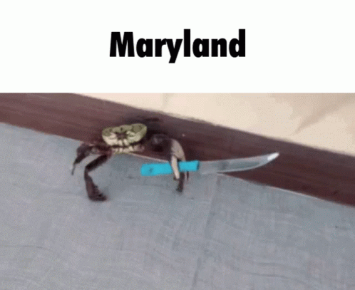 Maryland Crab GIF