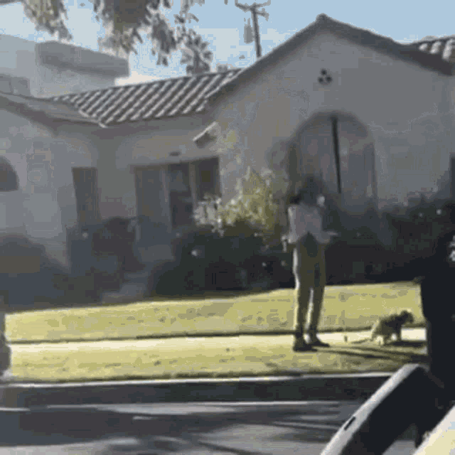 Mask Masque GIF