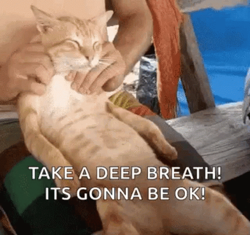 Massaging Give Me A Massage GIF