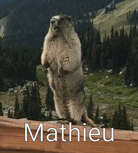 Math Mathieu GIF