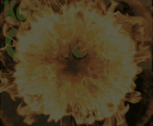 Mathew Patrick Matpat GIF