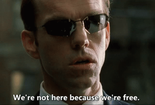 Matrix We Are Not Free GIF. This 498 x 336 animated GIF is part of our matrix collection. Created by jin97. View the original animation, share it, or browse…