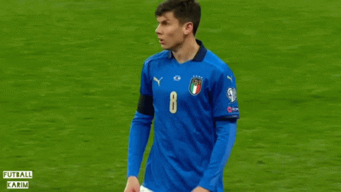 Matteo Pessina Pessina GIF. This 498 x 280 animated GIF is part of our hingle mccringleberry collection. Created by Futball_Karim. View the original…