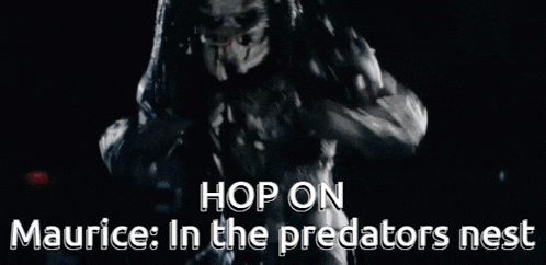 Maurice Maurice In The Predators Nest GIF