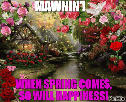 Mawnin Good Morning GIF