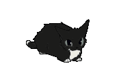 Maxwell Cat Sticker