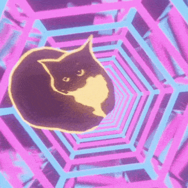 Maxwell Dance GIF