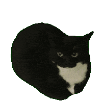 Maxwell Sticker
