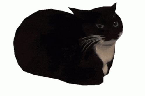 Maxwell Kocykvr GIF