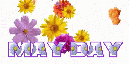 May1 May Day GIF