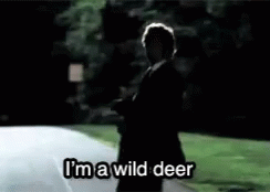 Mayhem Allstate Wild Deer GIF