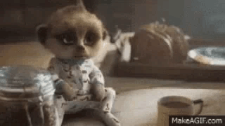 Mayoya GIF