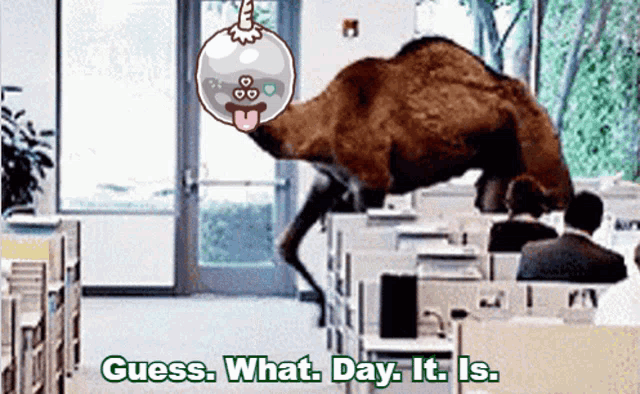 Mb Monsterbuds GIF