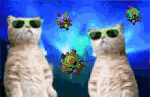 Mcnyale Plongus GIF. This 498 x 324 animated GIF is part of our party hard dance collection. Related themes include cat, dance, funny. Created by McNyale…